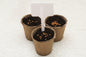 Biodegradable cardboard pots